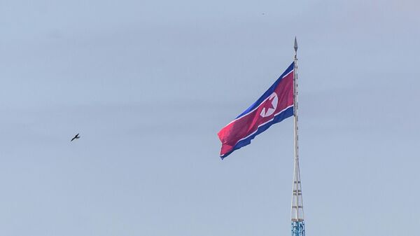 علم كوريا الشمالية - سبوتنيك عربي