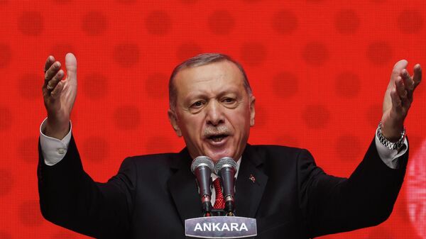 الرئيس التركي رجب طيب أردروغان - سبوتنيك عربي