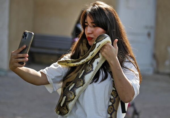 امرأة عراقية تلتقط صورة لنفسها وهي تحمل ثعبانًا في حديقة حيوانات بغداد في منطقة حدائق الزوراء في العاصمة،11 نوفمبر 2022 - سبوتنيك عربي