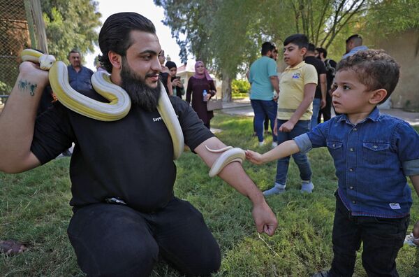 مربي عراقي يصور زائرًا صغيرًا يلمس ثعبانًا في حديقة حيوانات بغداد في منطقة حدائق الزوراء بالعاصمة، 11 نوفمبر 2022 - سبوتنيك عربي