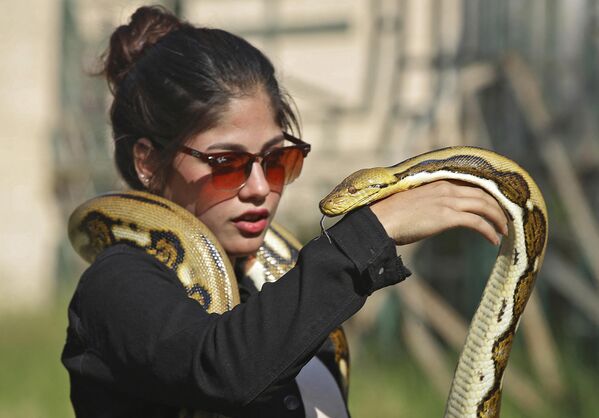 امرأة عراقية تحمل ثعبانًا في حديقة حيوانات بغداد في منطقة حدائق الزوراء بالعاصمة، 11 نوفمبر 2022 - سبوتنيك عربي