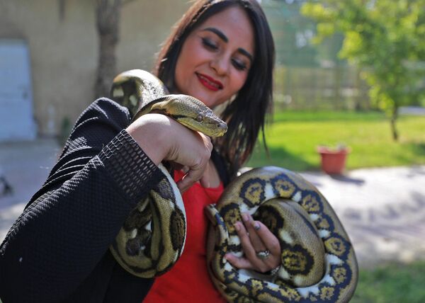 امرأة عراقية تحمل ثعبانًا في حديقة حيوانات بغداد في منطقة حدائق الزوراء بالعاصمة، 11 نوفمبر 2022 - سبوتنيك عربي