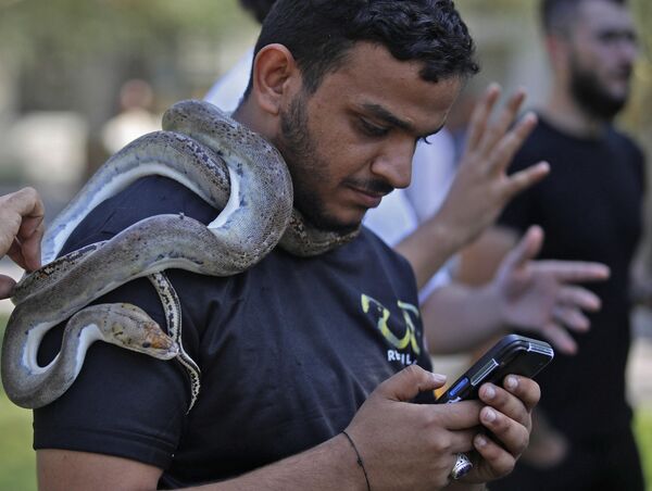 رجل عراقي يحمل ثعبانًا في حديقة حيوانات بغداد في منطقة حدائق الزوراء بالعاصمة، 11 نوفمبر 2022 - سبوتنيك عربي