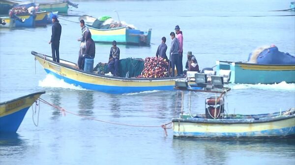 مهنة الصيد في قطاع غزة تلفظ أنفاسها بعد حظر إسرائيل التصدير إلى الضفة - سبوتنيك عربي