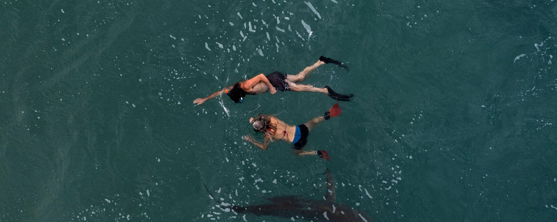 زوجان يسبحان بجوار سمكة قرش رملي في البحر الأبيض المتوسط بالقرب من مدينة الخضيرة الساحلية شمال إسرائيل، في 22 نوفمبر 2022. - سبوتنيك عربي, 1920, 08.06.2023
