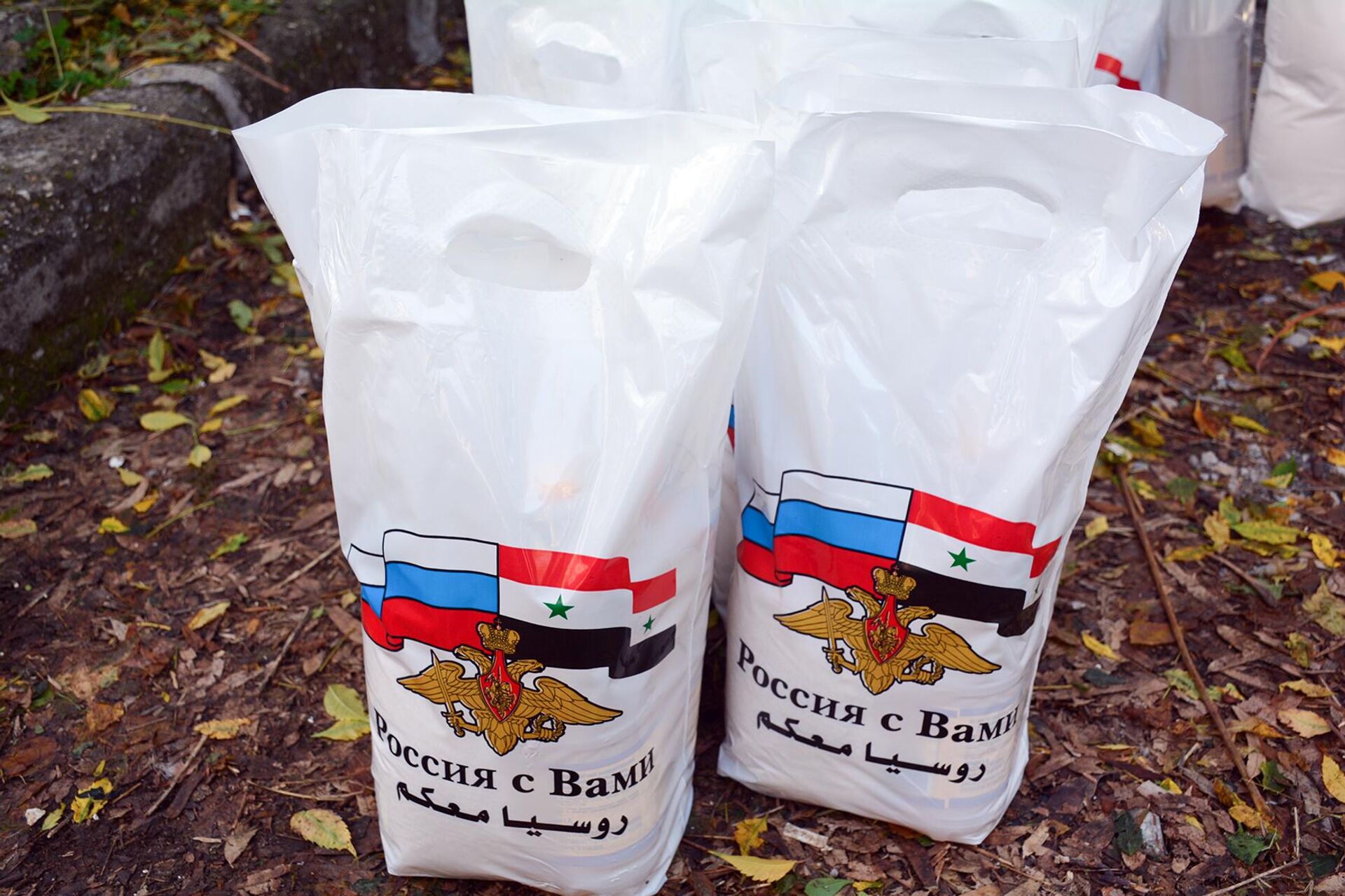 الجيش الروسي يوزّع مساعدات 3 أطنان من المساعدات الإنسانية في اللاذقية السورية - سبوتنيك عربي, 1920, 28.11.2022