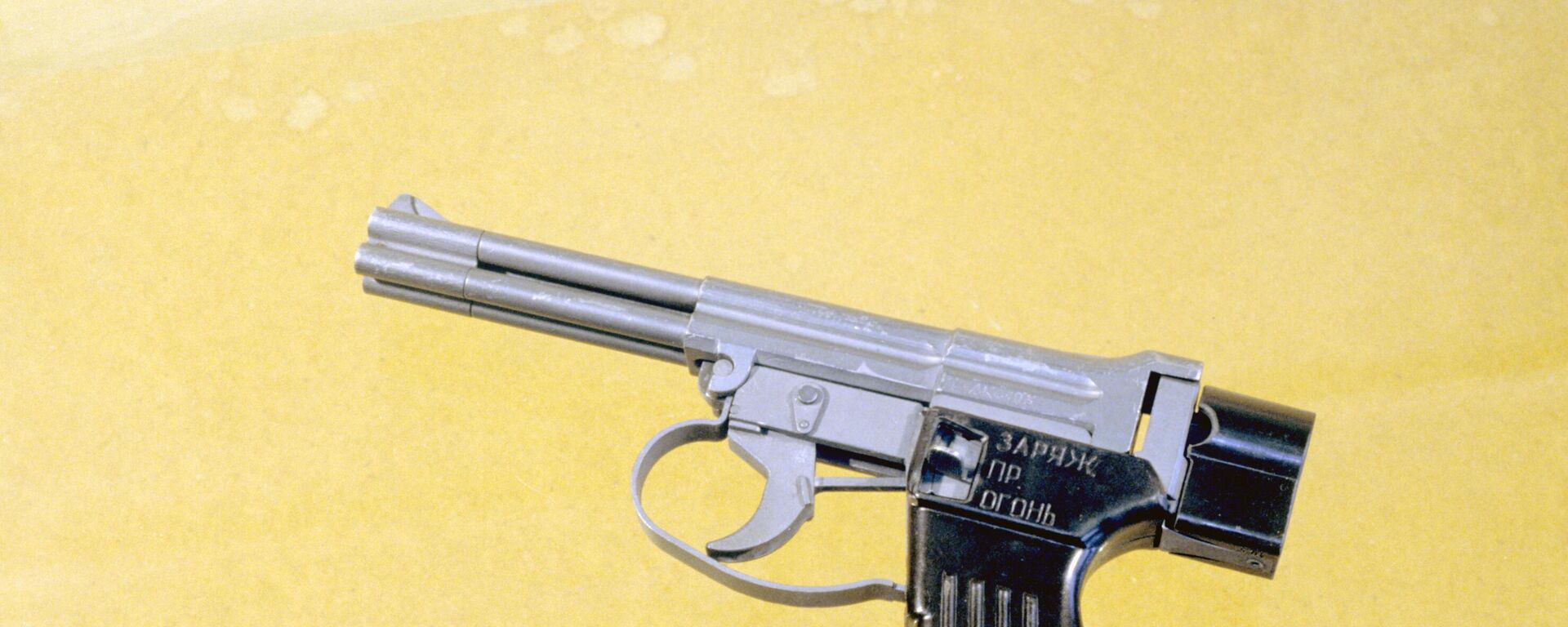 مسدس روسي مصمم للقتال تحت الماء طراز إس بي بي - 1 إم - سبوتنيك عربي, 1920, 29.11.2022