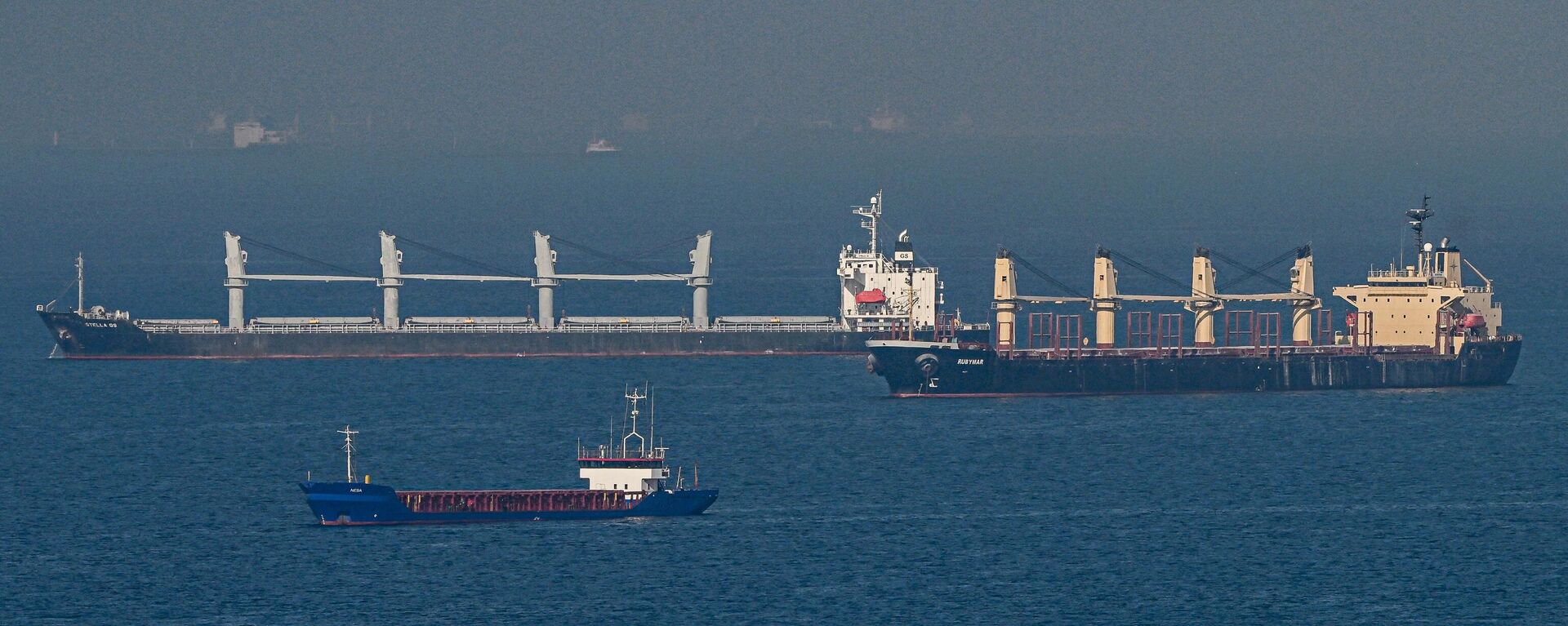 سفن تحمل الحبوب من أوكرانيا تبحر عند مدخل مضيق البوسفور 2 نوفمبر 2022 - سبوتنيك عربي, 1920, 02.03.2023