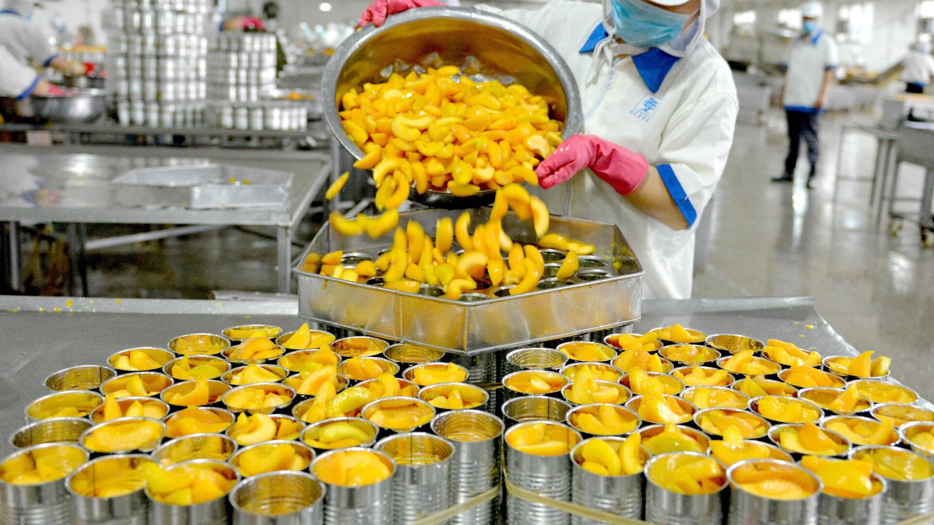 عامل يفرز الخوخ المعلب للتصدير في مصنع في مقاطعة هينان بوسط الصين، 8 يوليو/ تموز 2018 عامل يفرز الخوخ المعلب للتصدير في مصنع في مقاطعة هينان بوسط الصين، 8 يوليو/ تموز 2018 - سبوتنيك عربي, 1920, 13.12.2022