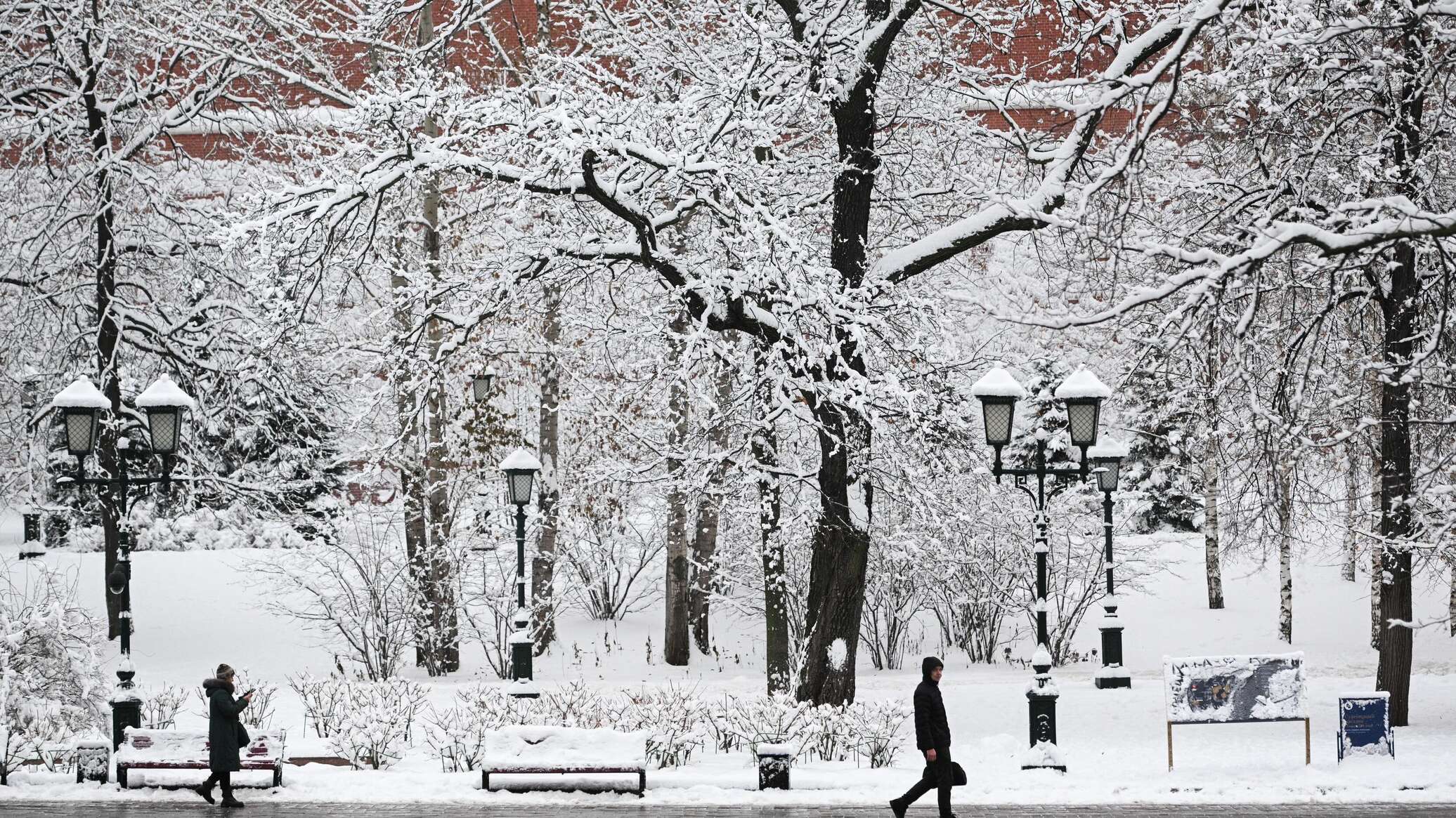 البرودة لا تسبب المرض بل تتسبب بجعلنا أكثر عرضة للعدوى