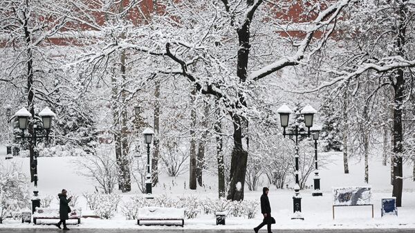 Люди гуляют в заснеженном Александровском саду - سبوتنيك عربي