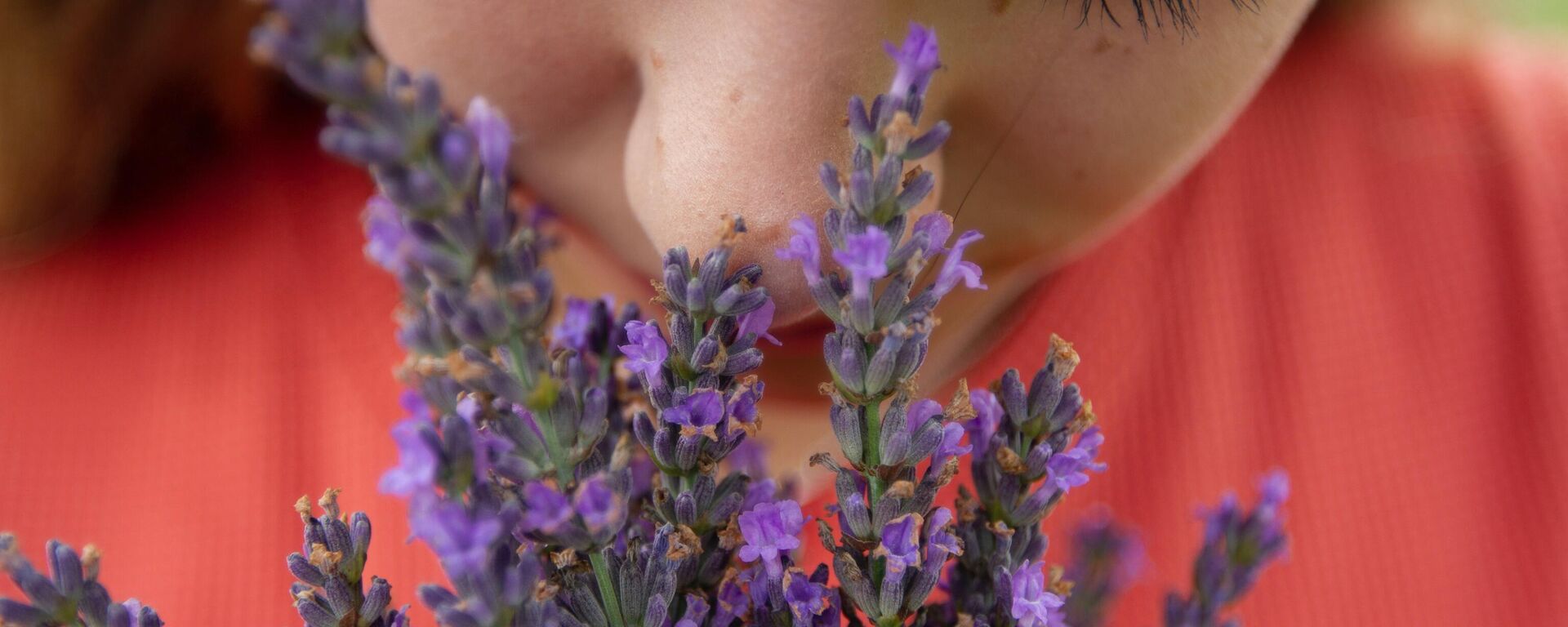 فتاة تشتم رائحة الورود - سبوتنيك عربي, 1920, 27.12.2022