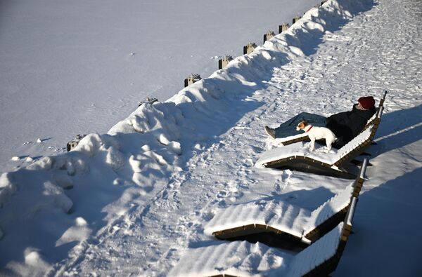 رجل يتنزه مع كلب على جسر في موسكو. في ليلة عيد الميلاد من 6 إلى 7 يناير، من المتوقع أن تصل درجات الحرارة إلى -30 درجة في منطقة العاصمة. - سبوتنيك عربي