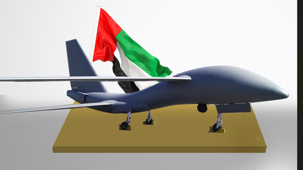 معلومات عن آيديكس ونافدكس 2023 - سبوتنيك عربي