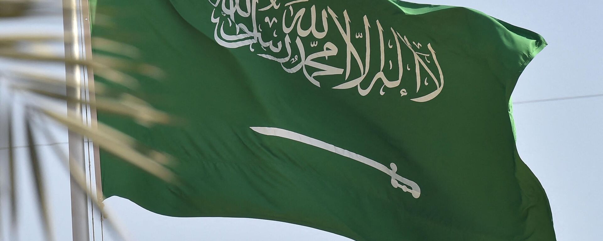 علم السعودية - سبوتنيك عربي, 1920, 12.08.2023