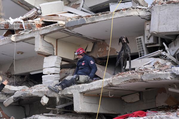 رجل إنقاذ مع كلب بوليسي يبحث في مبنى مدمر في أنطاكيا، جنوب شرق تركيا، 10 فبراير 2023. - سبوتنيك عربي