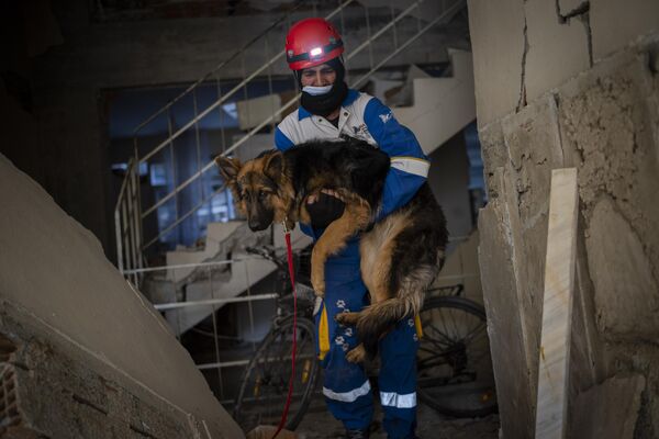 ينقذ محمد جوركان، عضو مجموعة حقوق الحيوان التركية هايتاب، كلبًا محاصرًا لمدة سبعة أيام داخل منزل تضرر من الزلزال في أنطاكيا، جنوب شرق البلاد،12 فبراير 2023. - سبوتنيك عربي