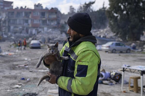 رجل يحمل قطة أنقذها من مبنى بينما يعمل رجال الإنقاذ على انتشال جثث الضحايا من أنقاض المباني المنهارة في أنطاكيا، جنوب هاتاي التركية، 15 فبراير 2023 - سبوتنيك عربي