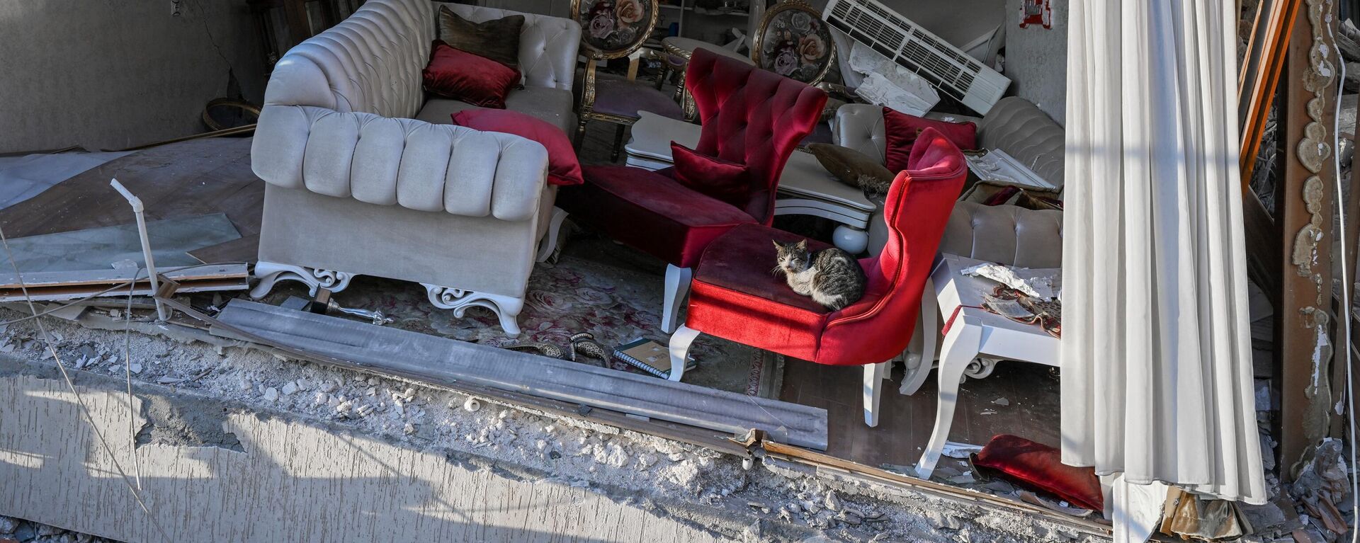 قطة تجلس على كرسي بذراعين في غرفة معيشة تعرضت لأضرار بالغة في مبنى منهار في هاتاي التركية في 15 فبراير 2023، بعد تسعة أيام من وقوع زلزال قوته 7.8 درجة على مقياس ريختر في أجزاء من تركيا وسوريا. - سبوتنيك عربي, 1920, 19.02.2023