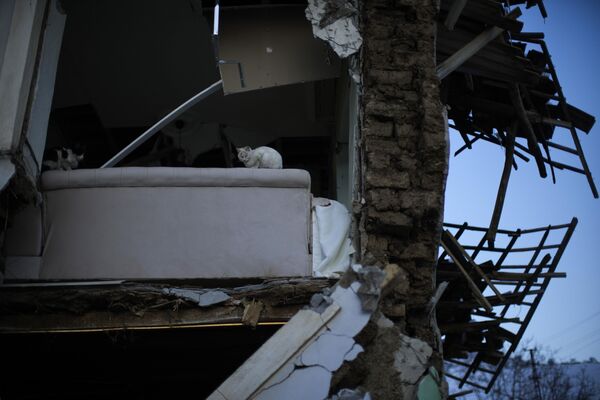 شوهدت قطتان في منزل مدمر في قرية بولات، تركيا، 12 فبراير 2023. - سبوتنيك عربي