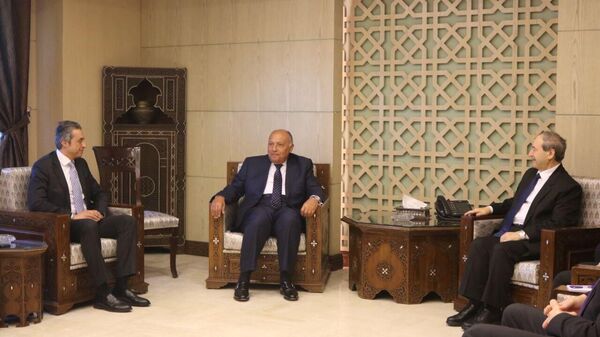 وزير الخارجية المصري سامح شكري خلال اللقاء مع نظيره السوري فيصل المقداد في دمشق، سوريا - سبوتنيك عربي
