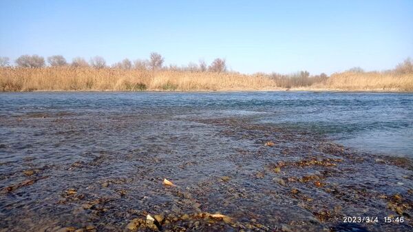 الفرات العظيم يتحول إلى ساقية منذرا بتحولات عميقة في تاريخ المنطقة - سبوتنيك عربي