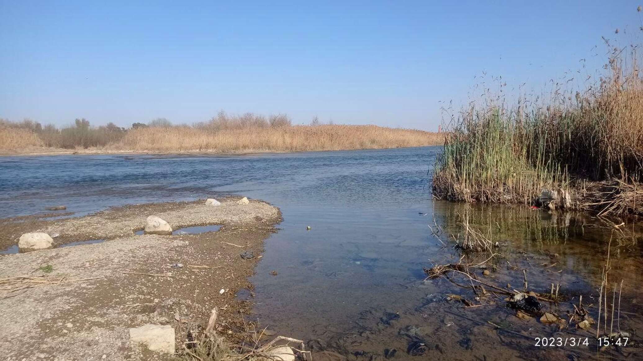 تحرك لإنقاذ الزراعة.. مسؤول عراقي: بلادنا لا تحصل سوى على 30 % من احتياجاتها المائية