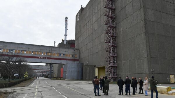 زيارة صحفيين من من إيطاليا وألمانيا وأمريكا اللاتينية وروس إلى منطقة محطة الطاقة النووية زابوروجيه في إنرغودار، 6 مارس 2023 - سبوتنيك عربي