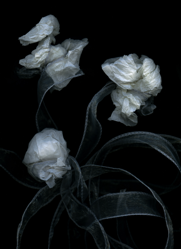 صورة بعنوان "إعادة التدوير"، للمصور ميكي دوغلاس من هولندا، الفائز في فئة "المادة" في المسابقة المفتوحة في جوائز مسابقة سوني العالمية للتصوير لعام 2023". - سبوتنيك عربي