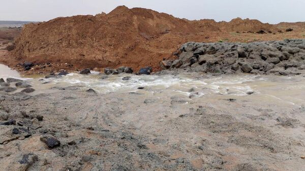 سيول الجزيرة - سبوتنيك عربي