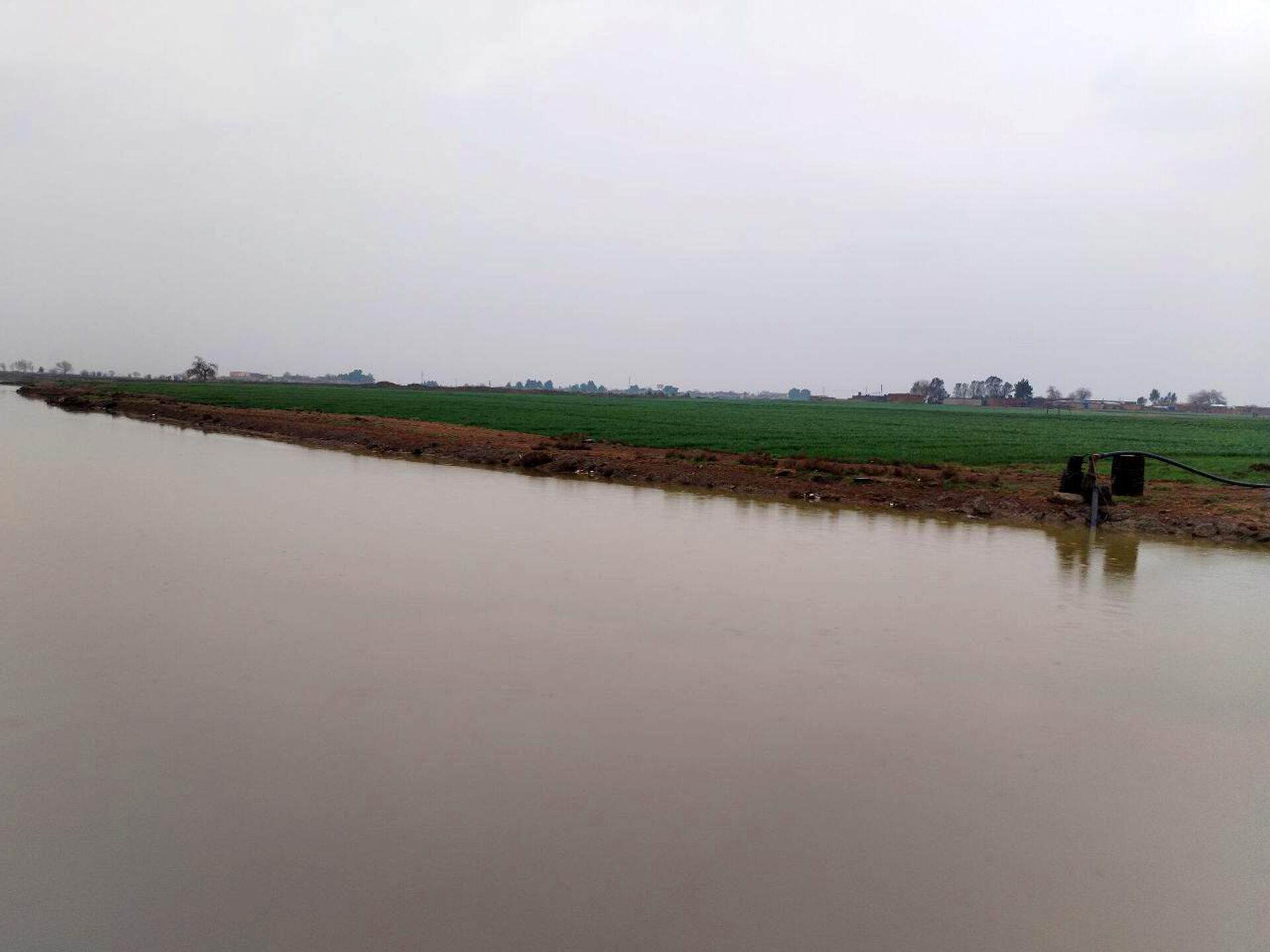 سيول الجزيرة - سبوتنيك عربي, 1920, 15.03.2023