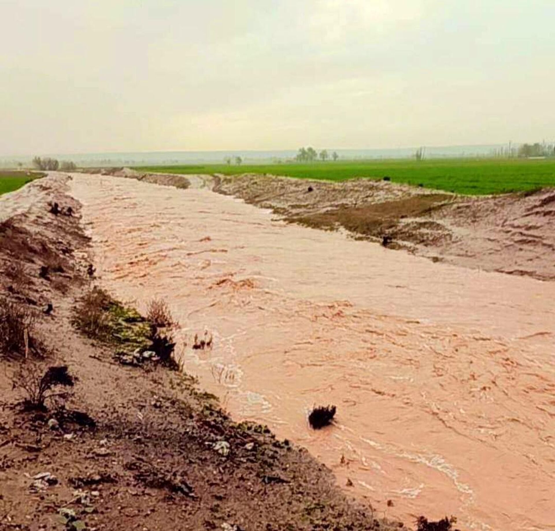 السيول تهدد منازل المزارعين ومحاصيلهم شرقي سوريا.. وتجرف السواتر الحدودية مع العراق - سبوتنيك عربي, 1920, 16.03.2023