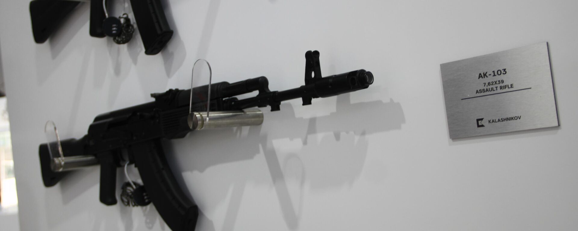 بنادق كلاشنيكوف الهجومية من عائلة أ كا - 100 - سبوتنيك عربي, 1920, 20.12.2023