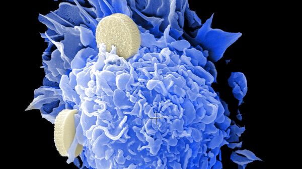  - سبوتنيك عربي