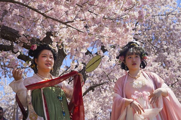 امرأتان تمشيان على طول حوض المد والجزر بينما تدخل أزهار الكرز ذروتها، في واشنطن.  26 مارس 2023 - سبوتنيك عربي