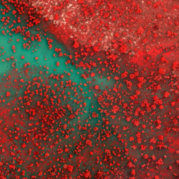 جنوب شرق آسيا وأوقيانوسيا (الشكل المفتوح)، العنوان "الفيضانات الأسترالية عبر الأشعة تحت الحمراء"، تشاد أجاميان.يقول المصور: الفيضانات على طول نهر هاوكيسبيري، وهو ممر مائي رئيسي يحيط بمنطقة سيدني الحضرية. بلغ منسوب الفيضان في المتوسط أكثر من 13 مترًا وكان أكثر فترات هطول الأمطار خلال 9 أيام منذ بدء التسجيل. - سبوتنيك عربي