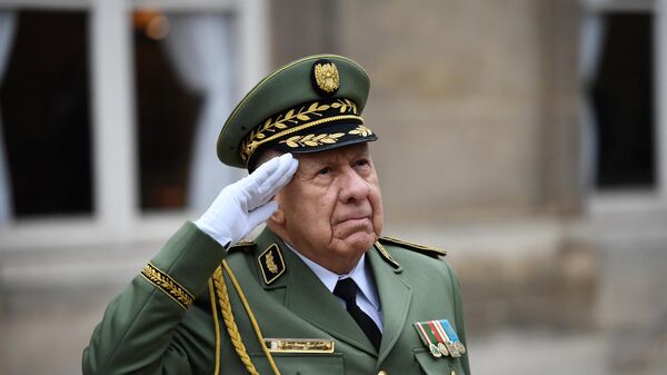 قائد أركان الجيش الجزائري الفريق سعيد شنقريحة - سبوتنيك عربي