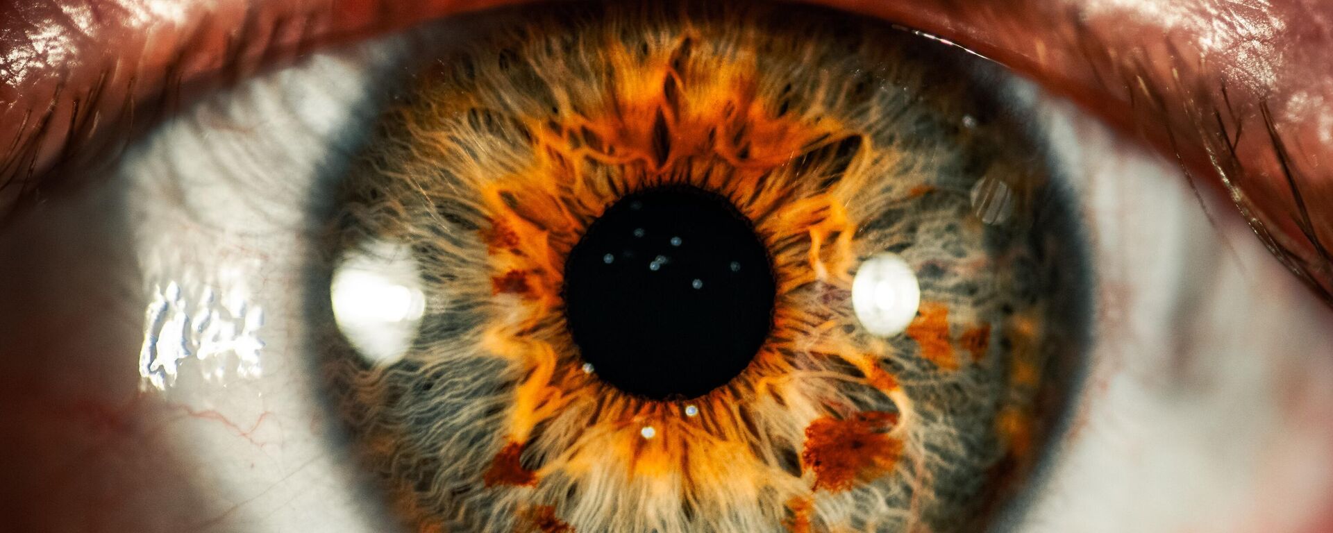 شبكية العين - سبوتنيك عربي, 1920, 29.03.2025