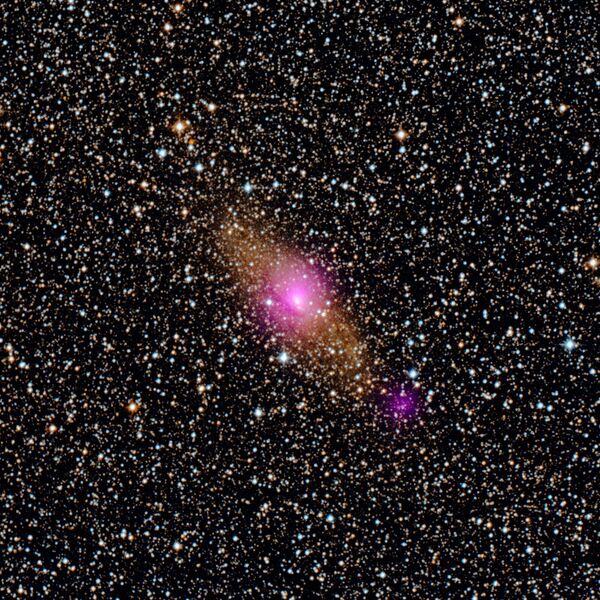 تُظهر البقع الأرجوانية في هذه الصورة ثقبين أسودين في كوكبة البيكار (Circinus): الثقب الأسود الهائل في قلبها، والثقب الأصغر الأقرب إلى الحافة الذي ينتمي إلى فئة تسمى مصادر الأشعة السينية فائقة السطوع، أو مصدر أشعة إكس فائق التألق. تأتي بيانات الأشعة السينية ذات اللون الأرجواني من مصفوفة التلسكوب الطيفية النووية التابعة لوكالة &quot;ناسا&quot;، ويتم تركيبها على صورة مرئية/ الأشعة تحت الحمراء من مسح السماء الرقمي. - سبوتنيك عربي