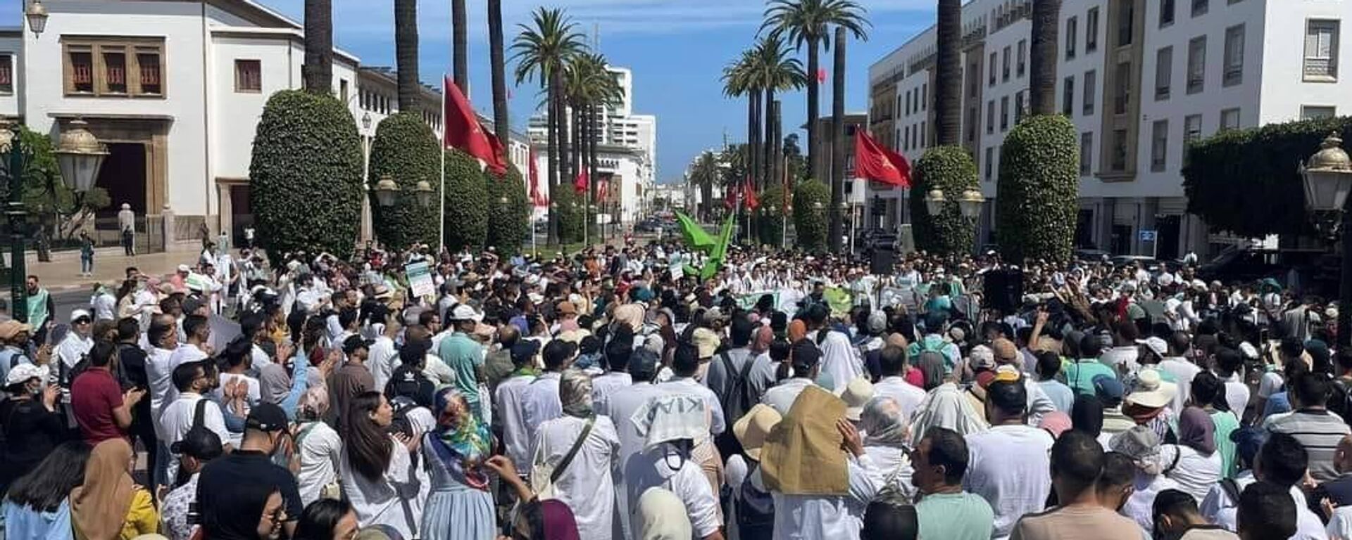 احتجاج الممرضين في المغرب أمام مبنى البرلمان على تجاهل مطالبهم المتعلقة بالأجور وظروف العمل - سبوتنيك عربي, 1920, 12.05.2023