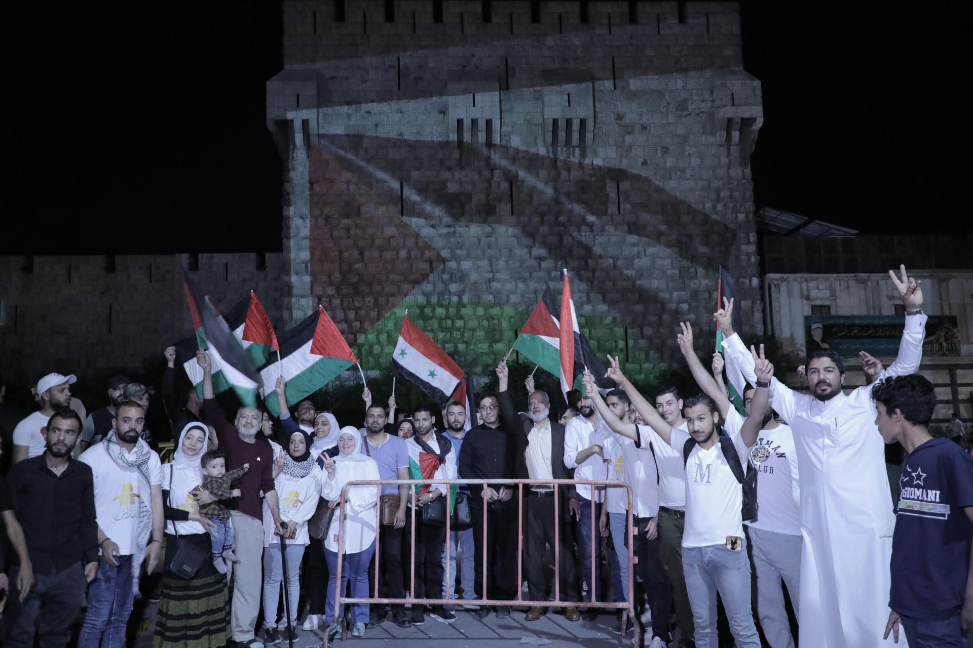 في الذكرى 75 للنكبة.. علم فلسطين مضاءً على جدران قلعة دمشق في الذكرى 75 للنكبة.. علم فلسطين مضاءً على جدران قلعة دمشق - سبوتنيك عربي, 1920, 16.05.2023