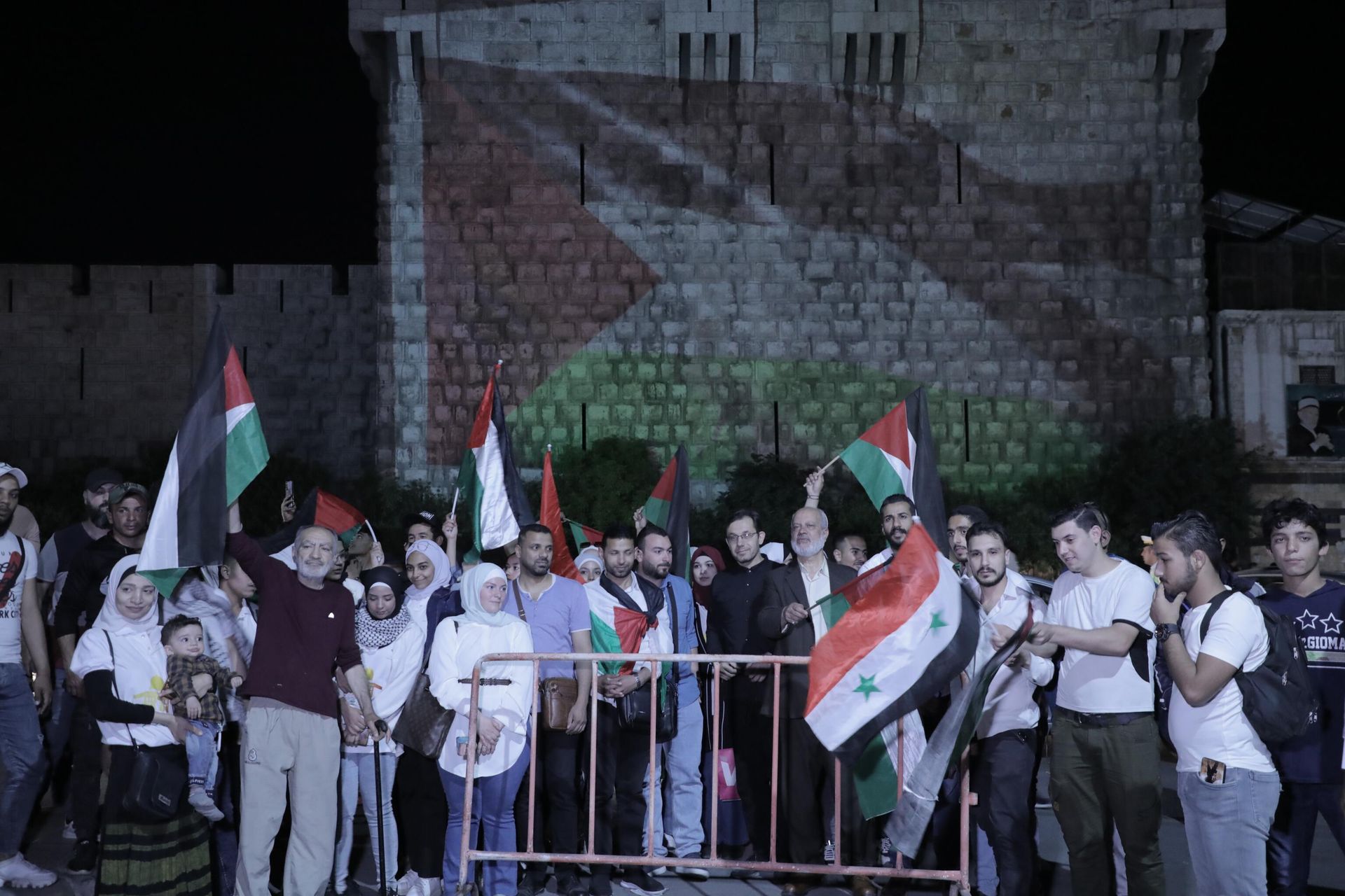 في الذكرى 75 للنكبة.. علم فلسطين مضاءً على جدران قلعة دمشق في الذكرى 75 للنكبة.. علم فلسطين مضاءً على جدران قلعة دمشق - سبوتنيك عربي, 1920, 16.05.2023