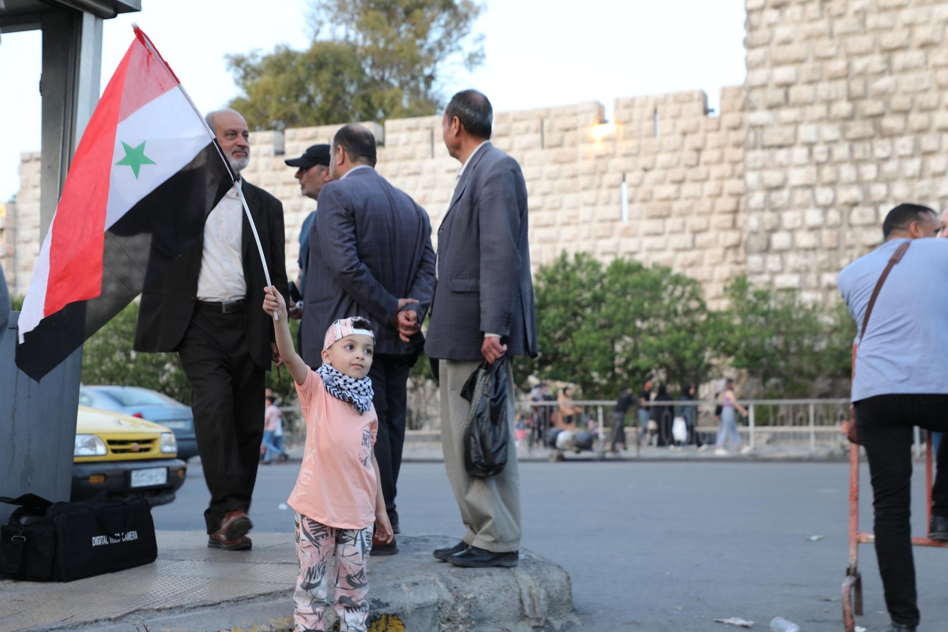 في الذكرى 75 للنكبة.. علم فلسطين مضاءً على جدران قلعة دمشق في الذكرى 75 للنكبة.. علم فلسطين مضاءً على جدران قلعة دمشق - سبوتنيك عربي, 1920, 16.05.2023