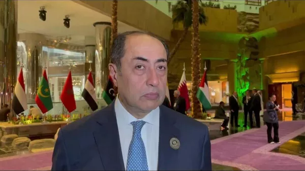 الأمين العام المساعد لجامعة الدول العربية، السفير حسام زكي - سبوتنيك عربي
