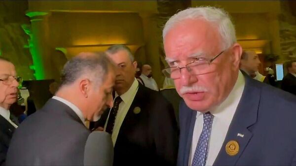 وزير الخارجية الفلسطيني رياض المالكي - سبوتنيك عربي