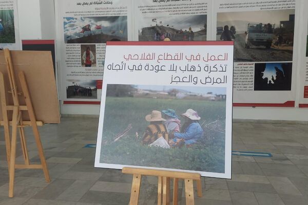 معرض في العاصمة التونسية يوثق المعاناة اليومية للعاملات في قطاع الزراعة - سبوتنيك عربي