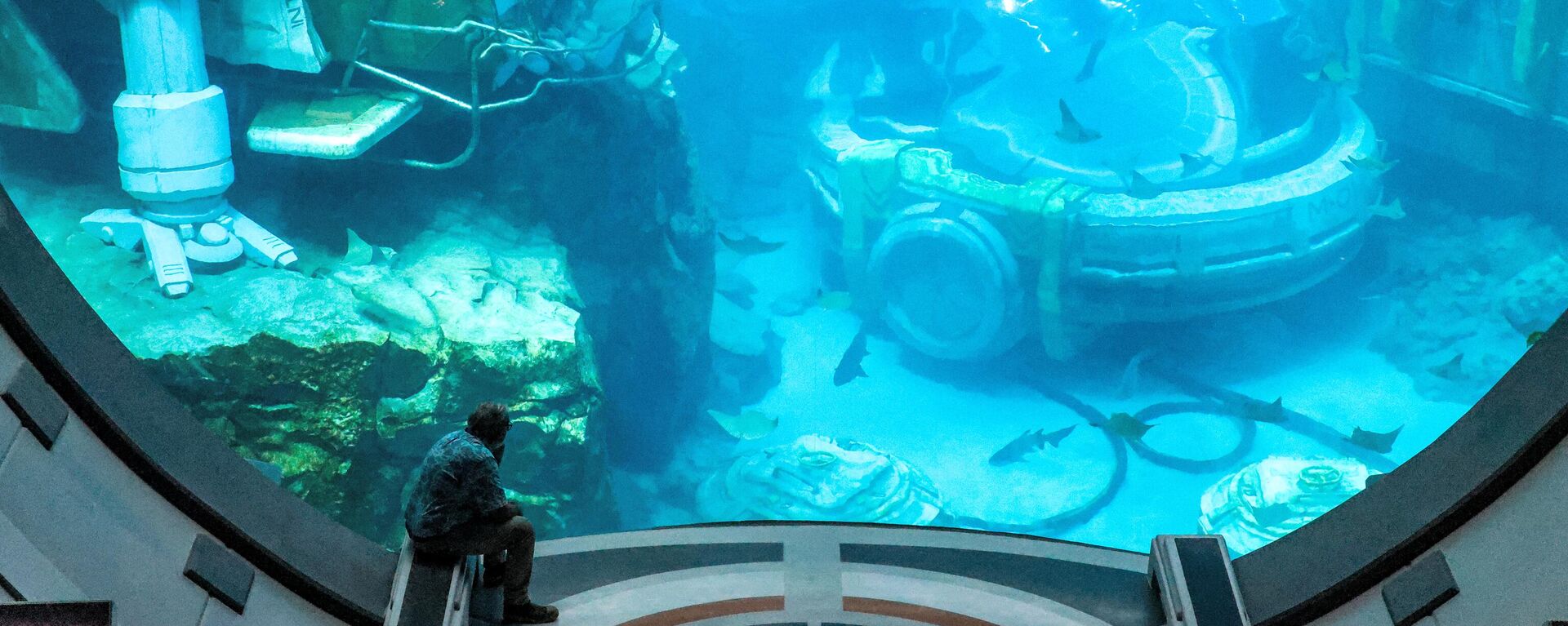 Посетитель тематического парка SeaWorld в ОАЭ  - سبوتنيك عربي, 1920, 22.05.2023