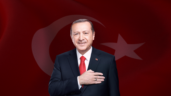 لنتائج الرسمية والنهائية للانتخابات الرئاسية التركية - سبوتنيك عربي