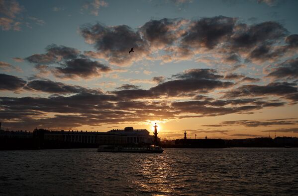 منظر يطل على ضفة دفارتسوفايا خلال الليالي البيضاء في سان بطرسبورغ. - سبوتنيك عربي