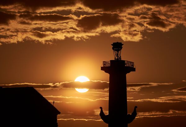 العمود المنقاري خلال الليالي البيضاء في سان بطرسبورغ. - سبوتنيك عربي